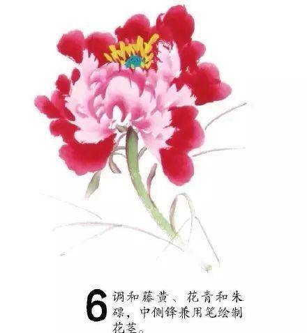 写意牡丹入门画法素材一学就会