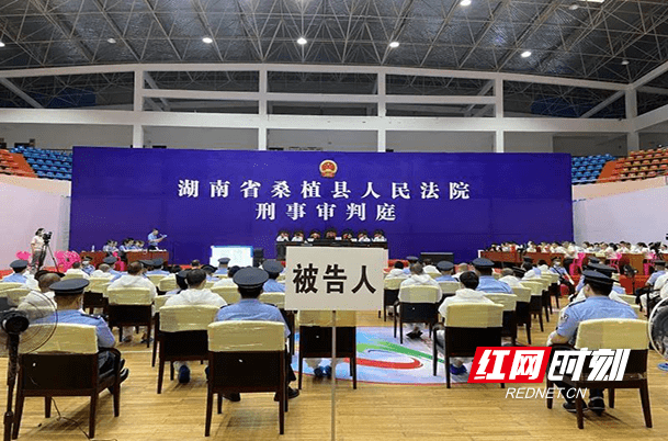 桑植县人民法院公开开庭审理一起重大涉黑案件