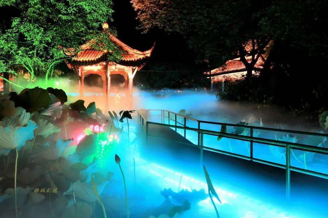 one话题广汉房湖流光溢彩的荷塘夜色最美视觉盛宴送给你