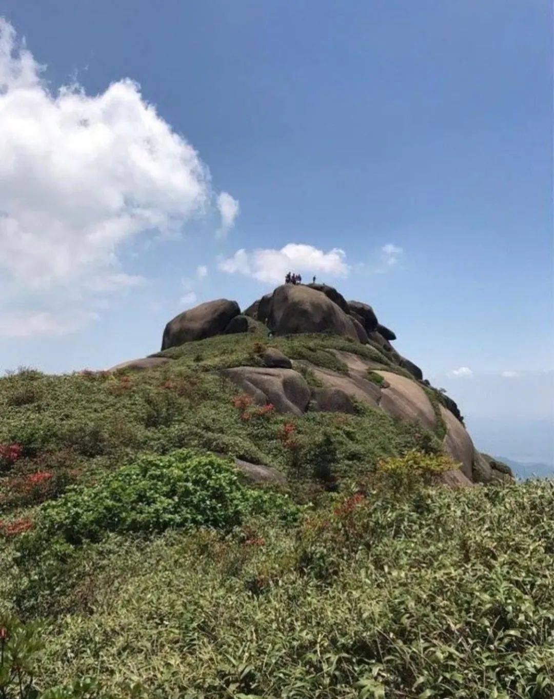 在這個天氣晴好的深秋時節,山風過處,一片片紅得燦爛的樹葉不斷飄落到