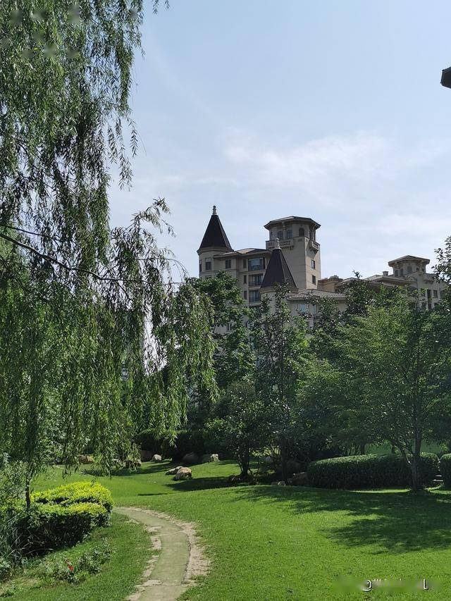 北京市区新开的公园好隐蔽,内有大草坪,这里的夏日静悄悄