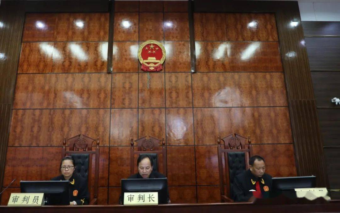 楚雄大姚杨某春等19人恶势力犯罪一案一审宣判结果来了