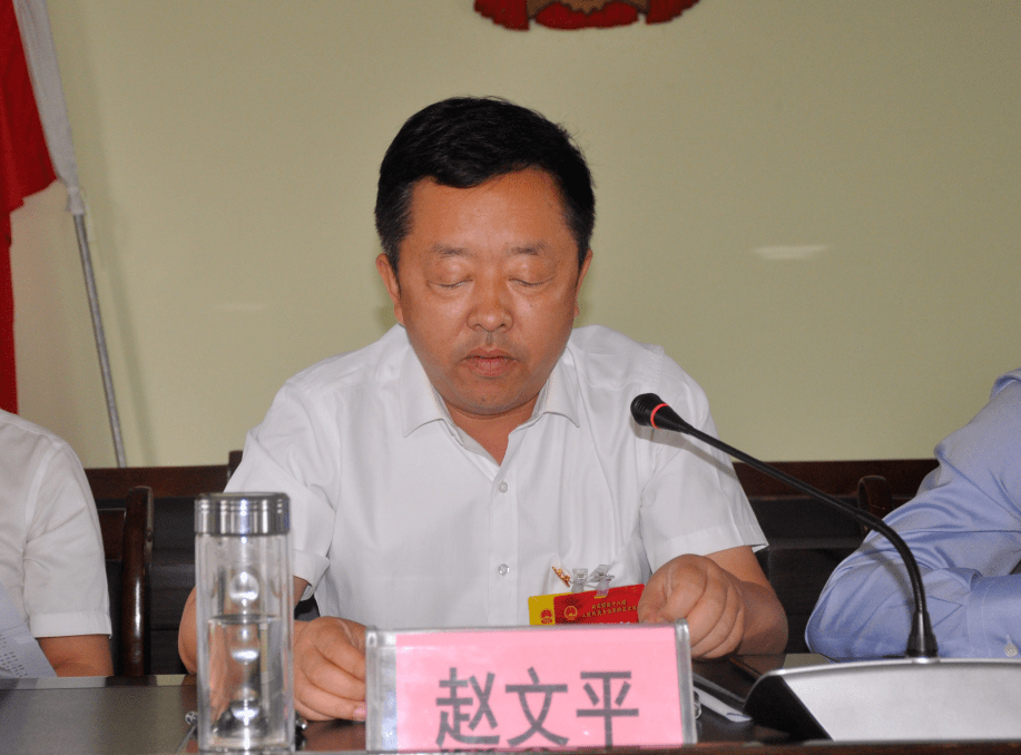 (镇党委书记作大会总结讲话)最后,镇党委书记赵文平作重要讲话.