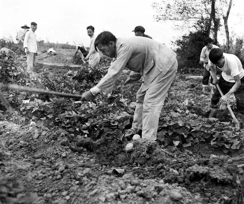 1960年10月县委第一书记郭兴秤朊烦侨嗣窆绾油宕