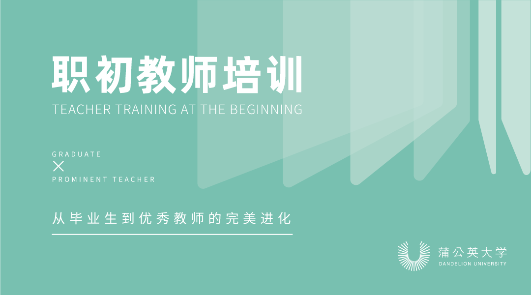 集中培训受限新教师能力如何快速提高