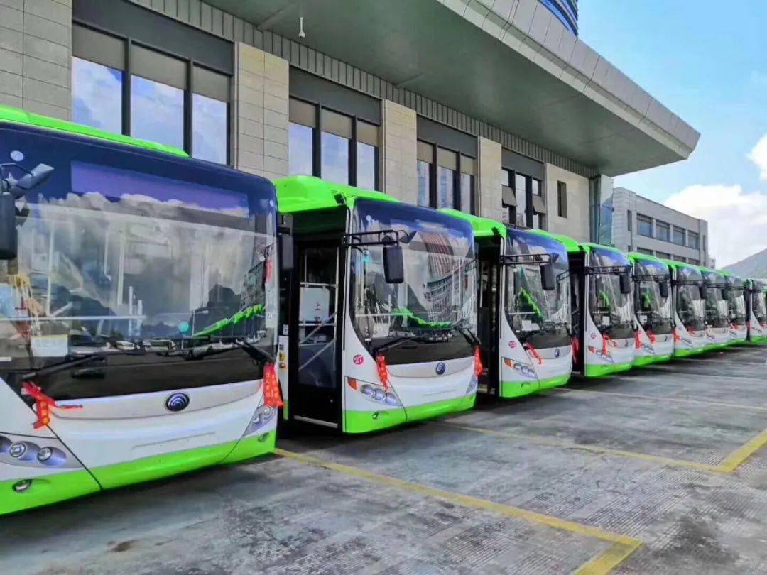 乐清交通的一抹绿色