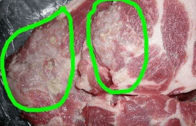 母猪肉图片和正常猪肉图片