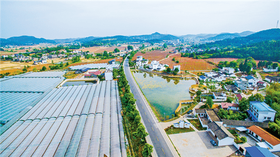 德阳市中江县永太镇高坝新村产业园 供图/德阳组     缩小