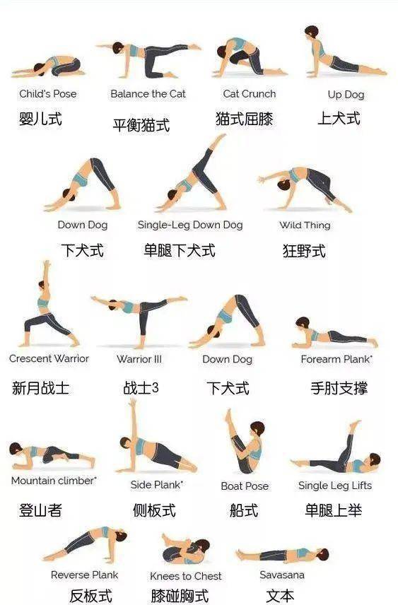 6套超好用的"流瑜伽"序列,总有一套适合你(收藏级!