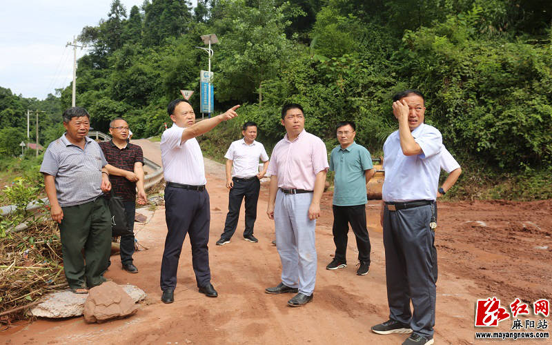 黄黎 米周文)7月2日,湖南省麻阳苗族自治县县委书记李卫林到石羊哨乡