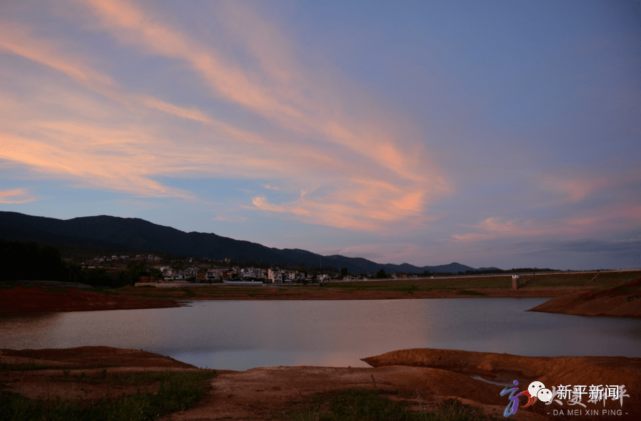 欢迎你小精灵国家二级保护动物钳嘴鹳成群到访新平