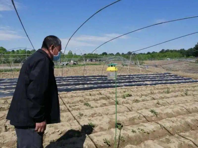 抚松县松江河镇推动农业绿色转型发展加快一谷一城建设