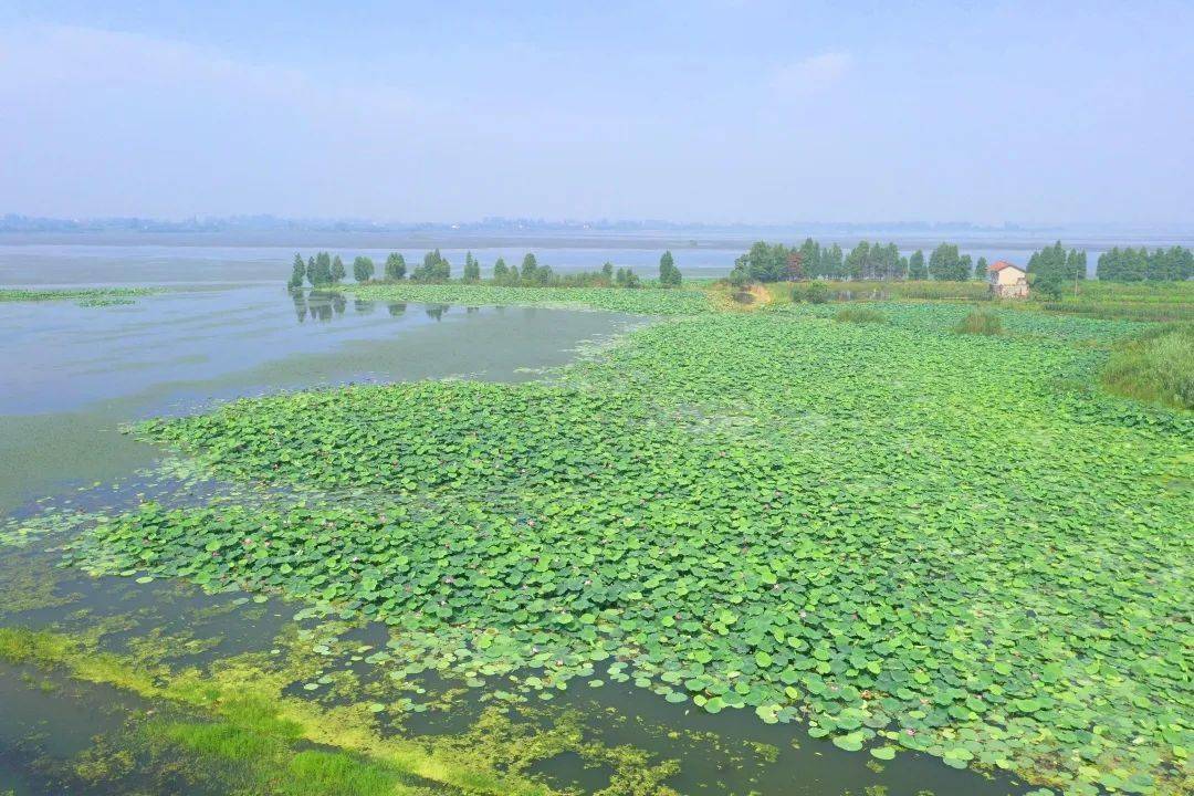 今年底荆州这座国家湿地公园将建成验收地点就在