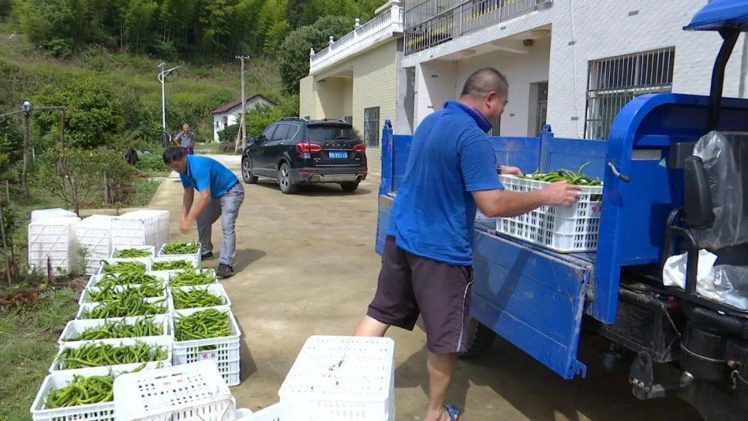 大同镇板溪村1组村民 汪成旺:今年政府跟领导跟老板在我们村搞开发,荒