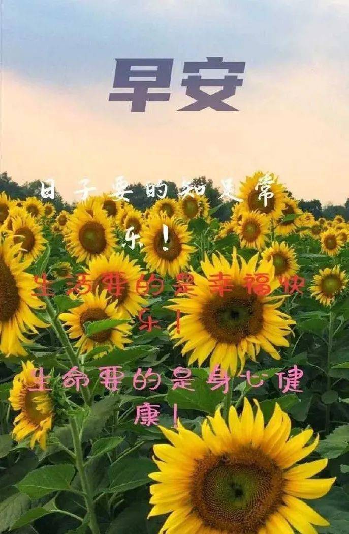 8张最新漂亮早安问候图片带字精选 最美早上好问候祝福语图片带字