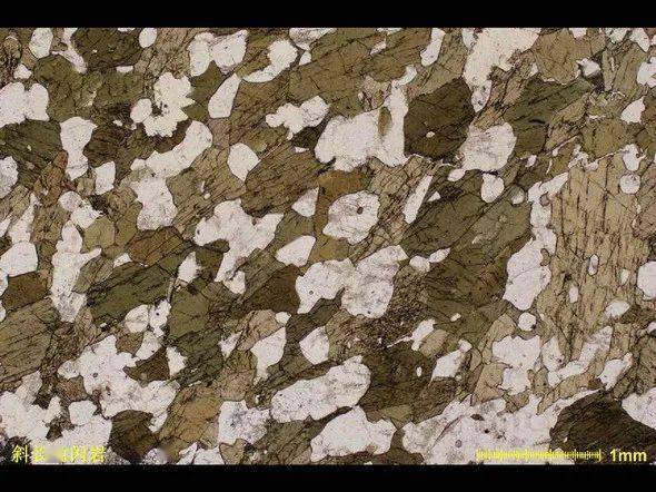 标准岩石薄片鉴定高清146张