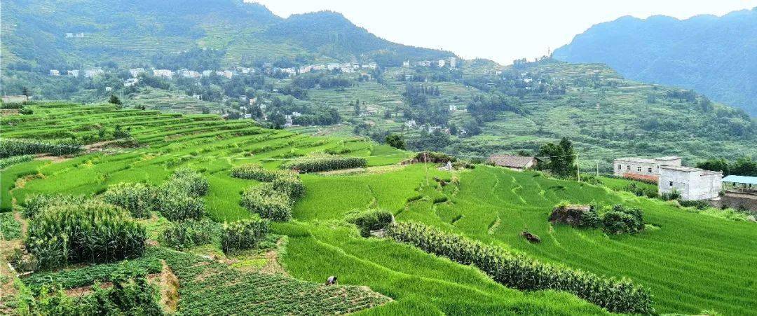 是巫溪的南大门与奉节县接壤位于巫溪县南部上磺镇红岩村