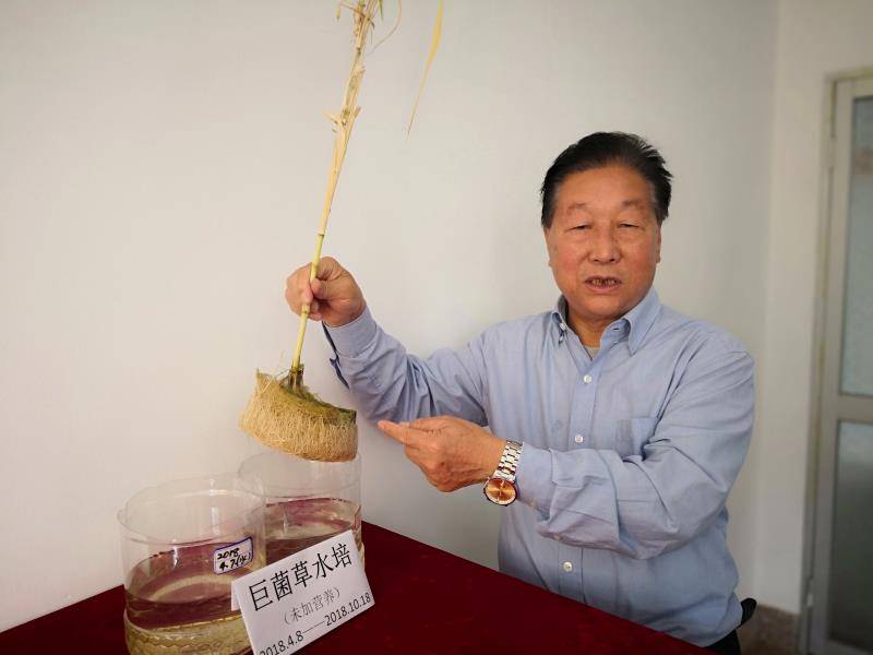 还请来了时任福建农林大学菌草研究所所长,菌草专家林占熺推广菌草