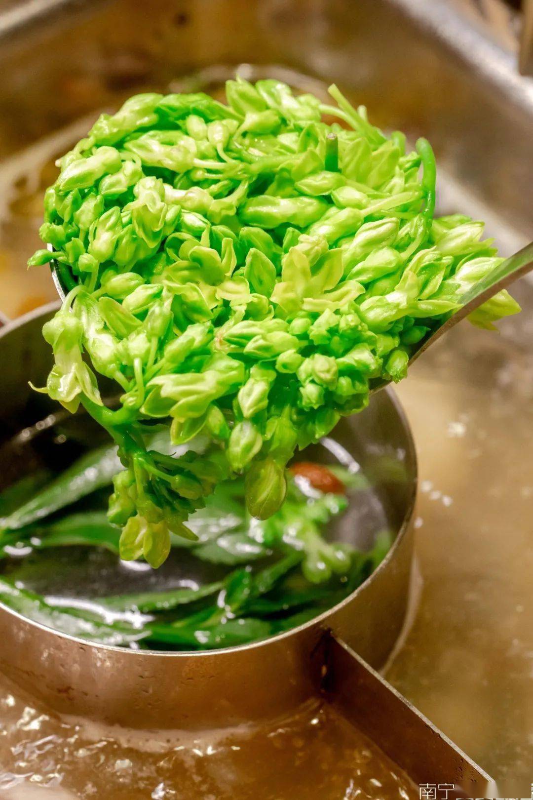 千里香美人菜| 这就是高配版生菜, 菜茎脆嫩,不用烫得太久.