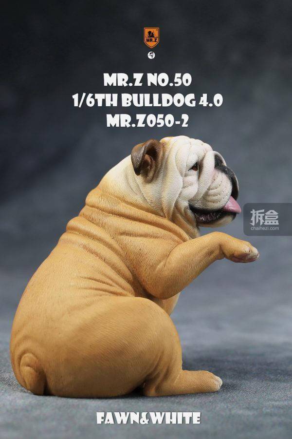 bulldog ant图片