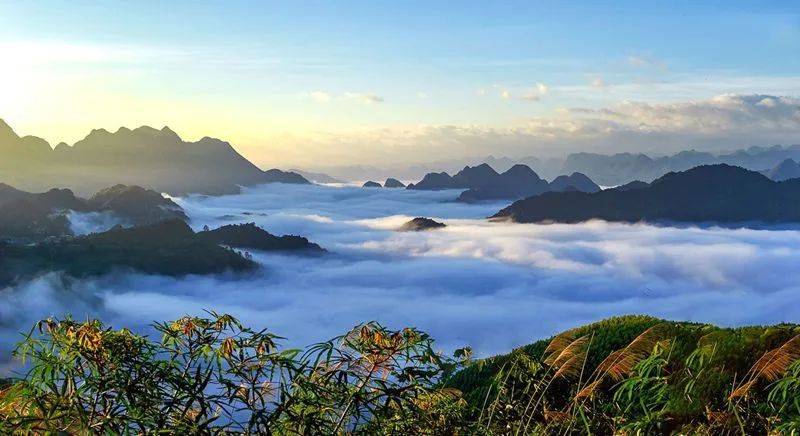 水上森林——富宁天湖壮景生态旅游区