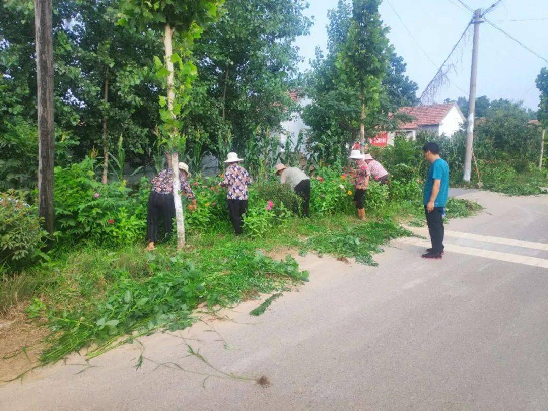 中楼镇紧锣密鼓高效推进创城工作