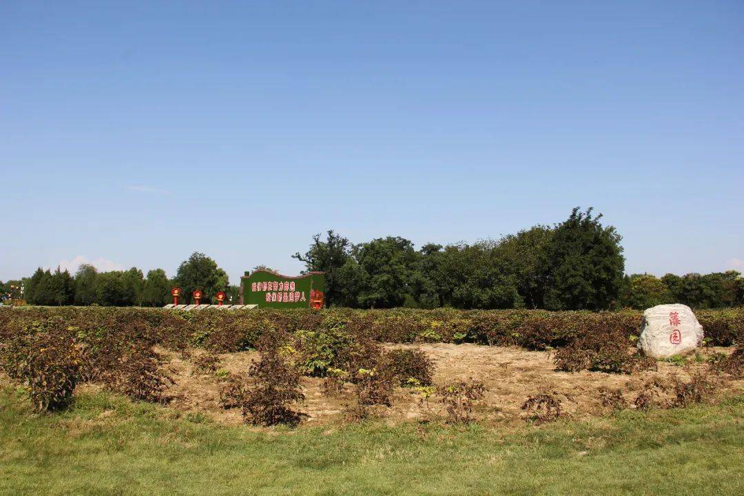 漫游圆明园|西南隅之藻园(下)