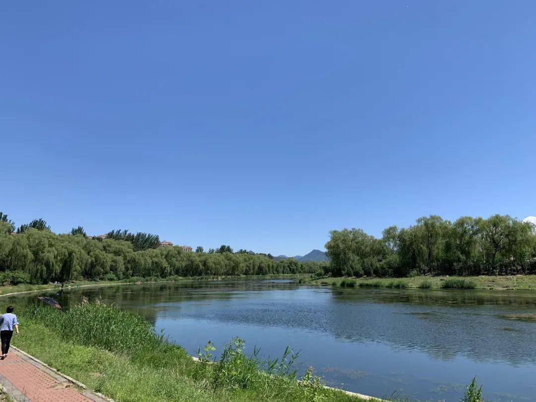 同谋划共努力全力推进我区地表水环境质量提升