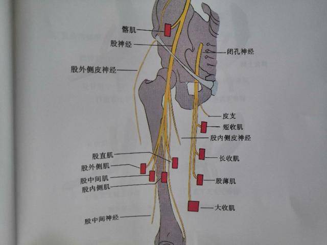 腰椎间盘突出症有哪些体征,分清这些症状,自己也能看明白