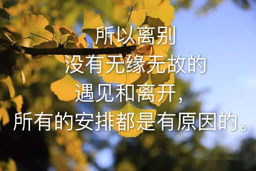 心酸的短句读完一定很难过吧