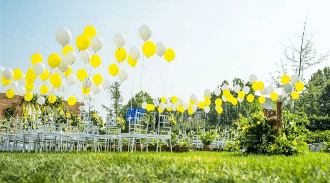 余东农耕文化园大草坪主题生日派对