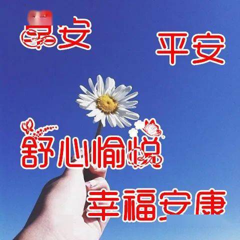 早上好问候美图早安问候语句