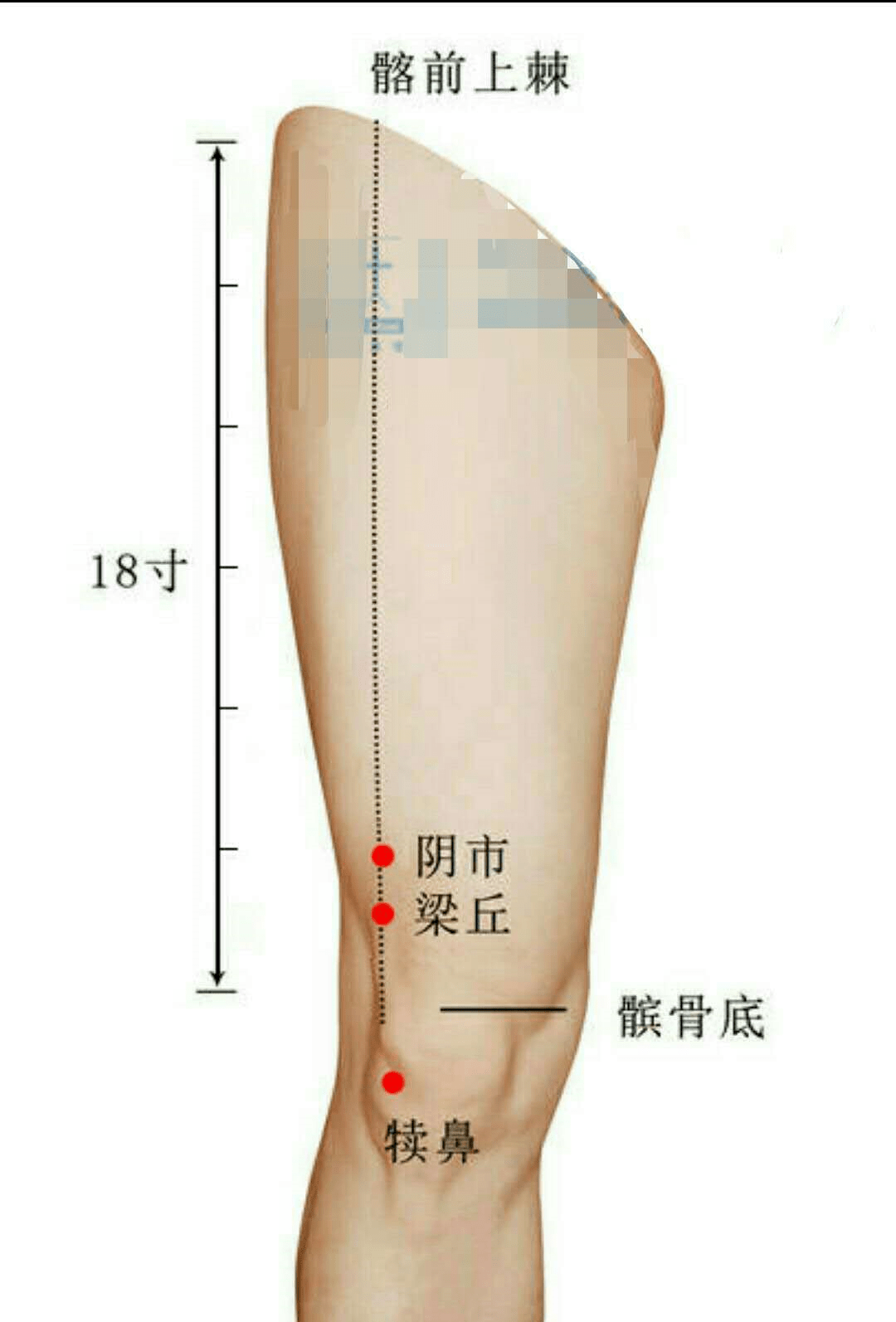 名医讲穴位_梁丘穴