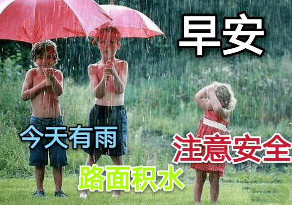微信温馨的早上好问候语非常漂亮的夏季雨天祝福图片带字