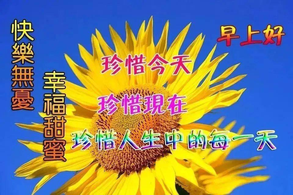 2020最新版夏天早上好祝福語溫馨表情圖片早上好陽光祝福表情問候圖片