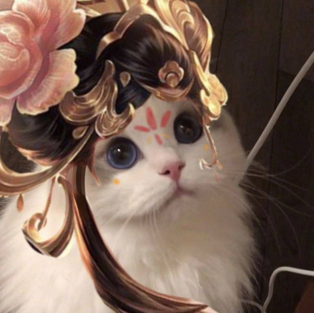 《王者荣耀猫头》蔡文姬猫咪接头头像,第一件出装当然是圣杯了