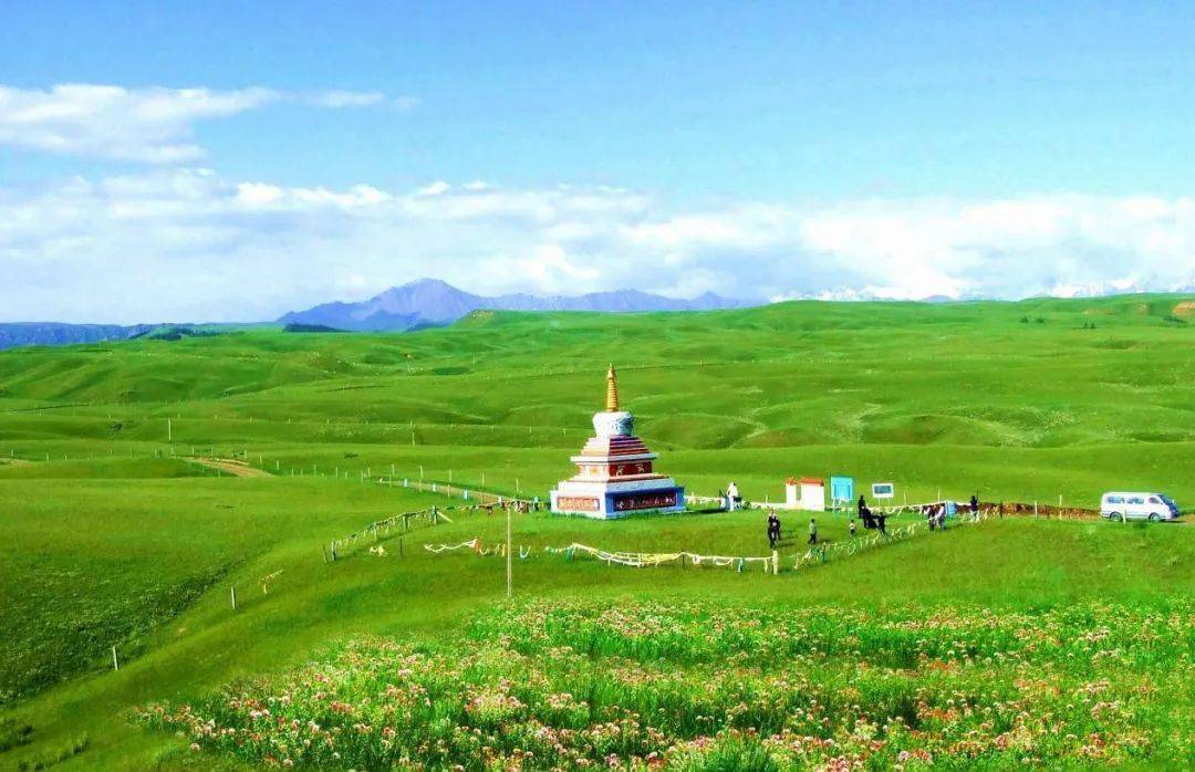 张掖夜市联袂康乐草原赠送门票啦