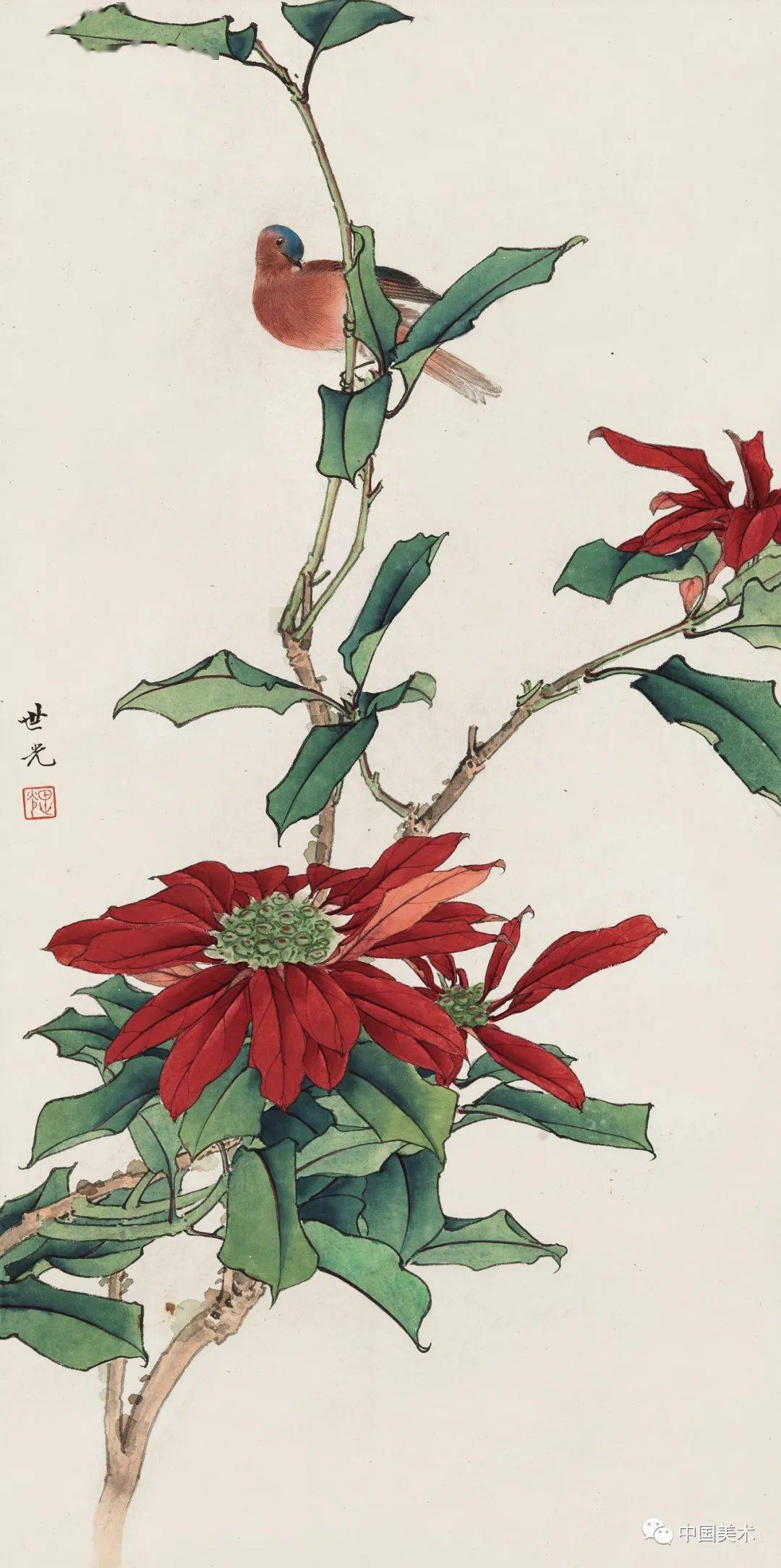 最美花鸟100幅观之可去暑气高清