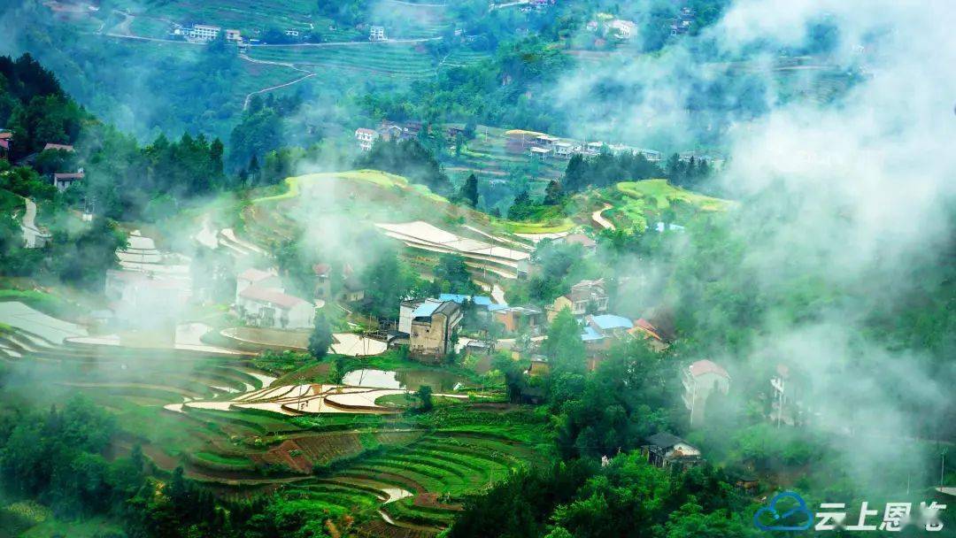 图| 利川谋道:杨家湾梯田美如画