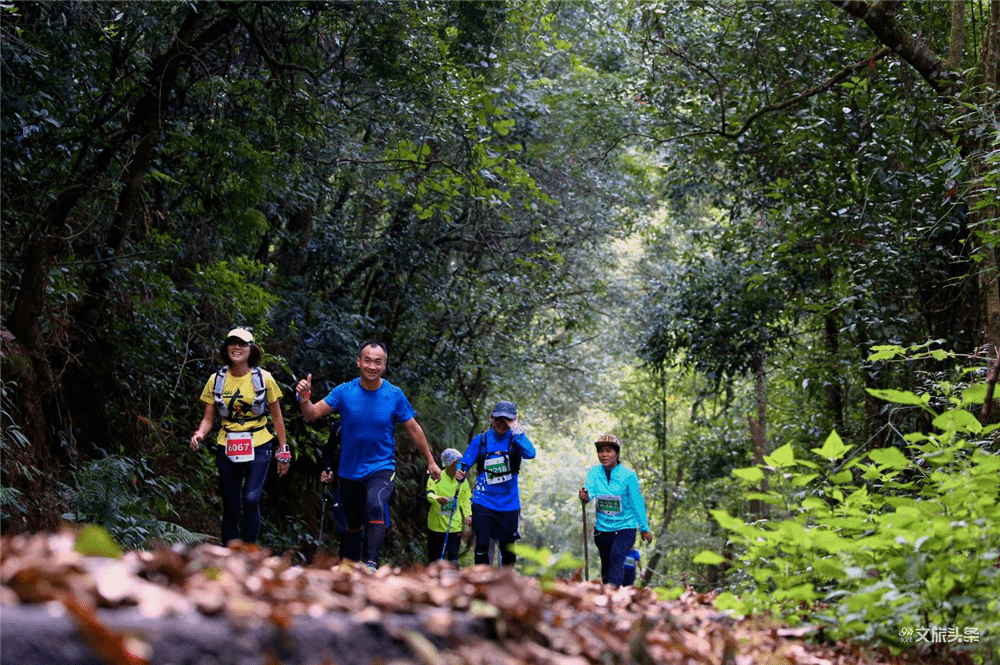 【游线】高考收官!盘点普洱最适合学生"放松游"的线路