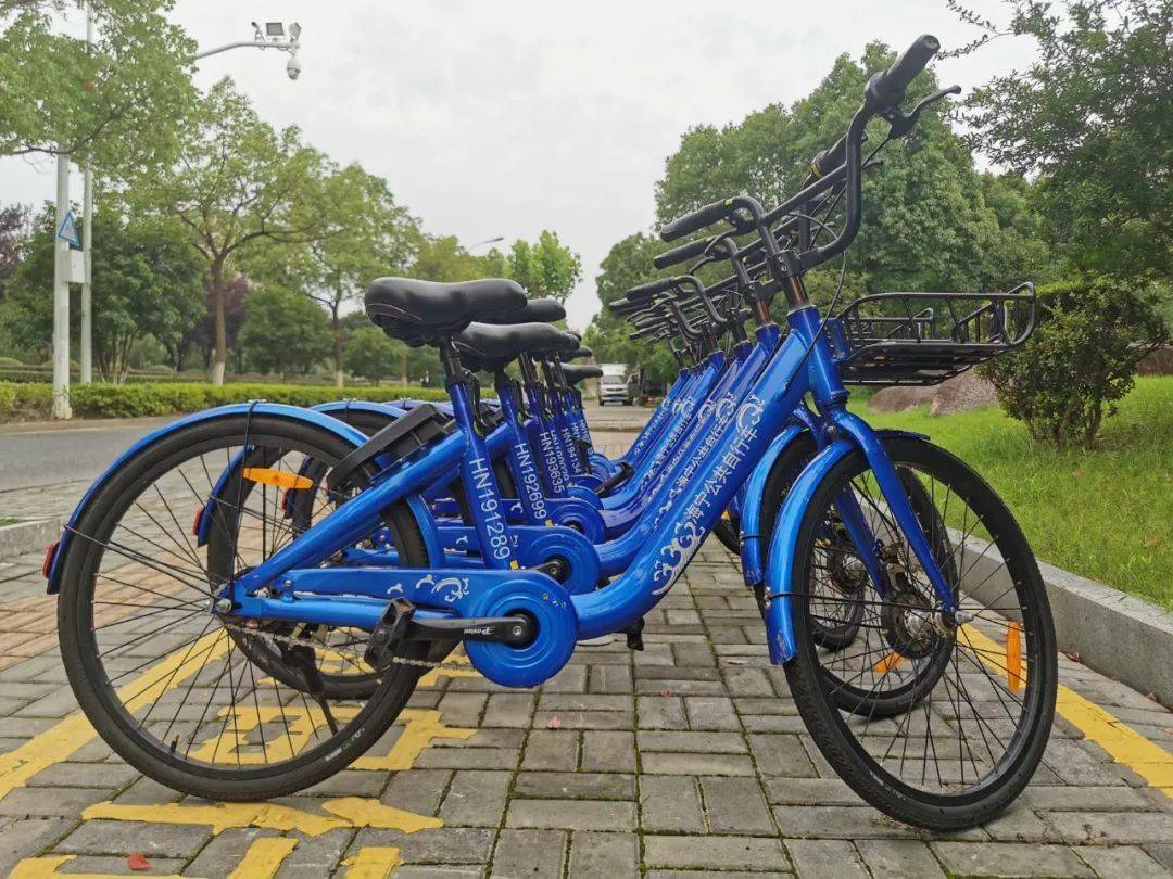 海宁街头,这辆"小蓝车"突然火了!_自行车