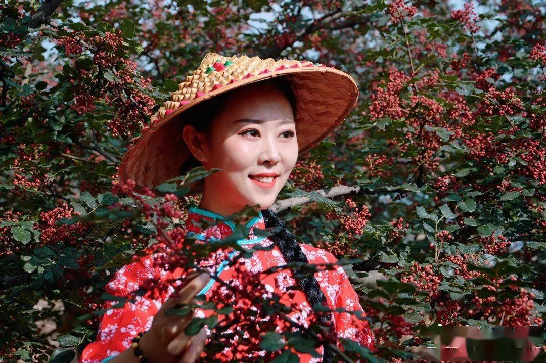 六峰将军岭来了一帮摘花椒的美女