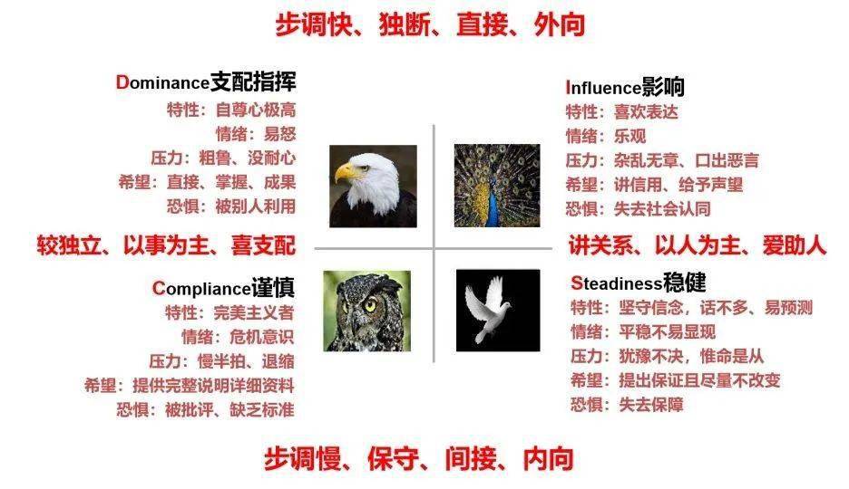 乾貨disc性格測試免費開放帶解析版