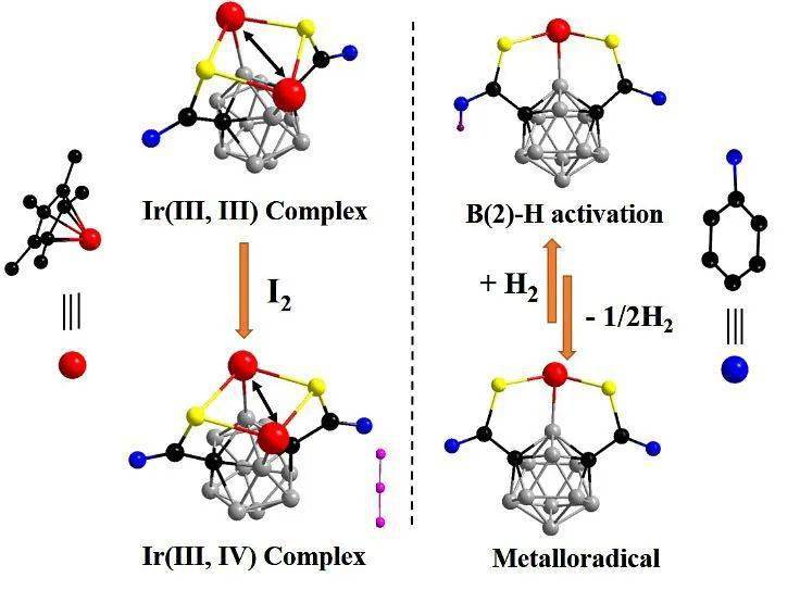 2019  58   8129-8133)(图4).为碳硼烷潜在的应用价值提供了新的可能.
