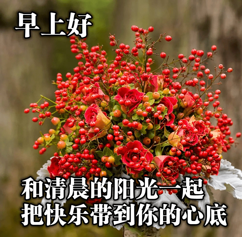 清晨祝福朋友早上好的精美好句子最甜蜜的早上好问候祝福语带图片