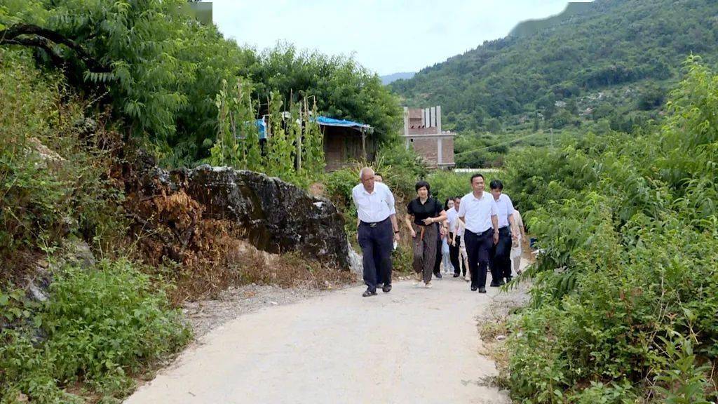 連平縣第一黨支部舊址紀念館,三角鎮石源村蓮藕種植基地,忠信鎮現代