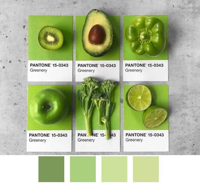 也是属于这个色系就像今年大热的牛油果绿绿色系一直都是时尚界的流行