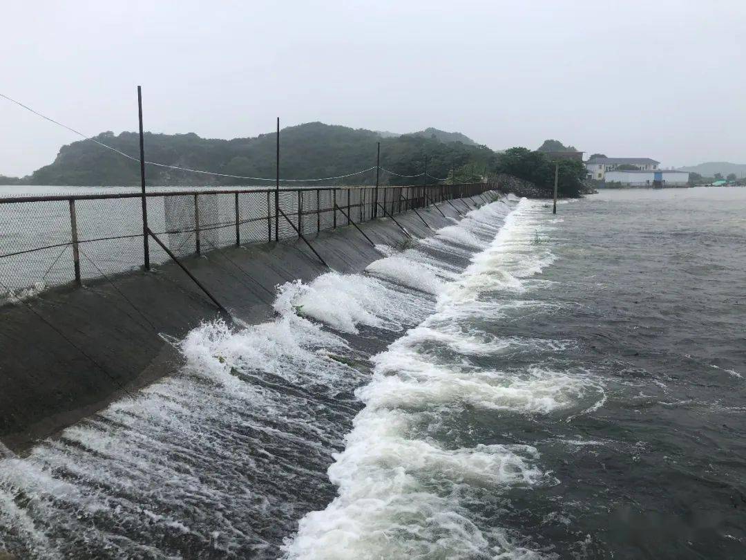 新余市江口水库水位图图片