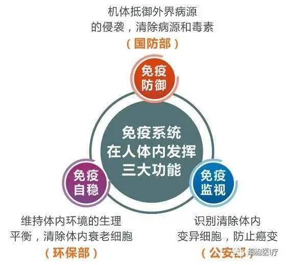 免疫系統主要由免疫器官,免疫細胞和免疫分子構成,其中的免疫細胞是