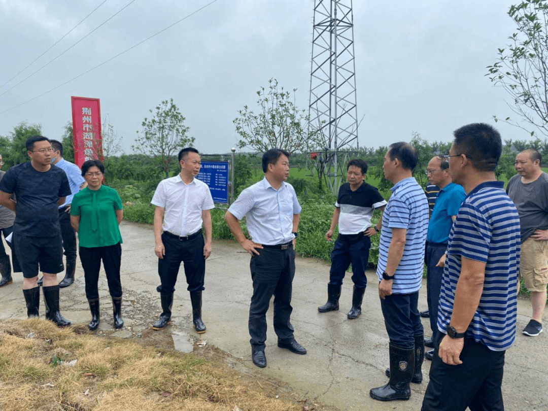 市领导到我区检查城区排涝和内垸防汛抢险工作